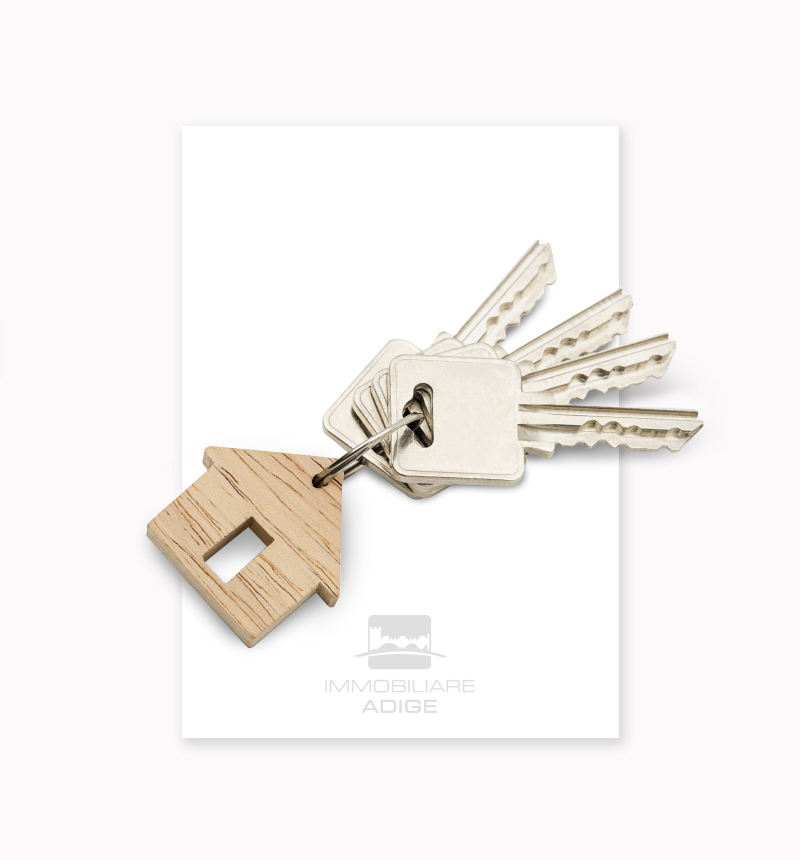 immagine delle chiavi e logo del sito web di immobiliare adige